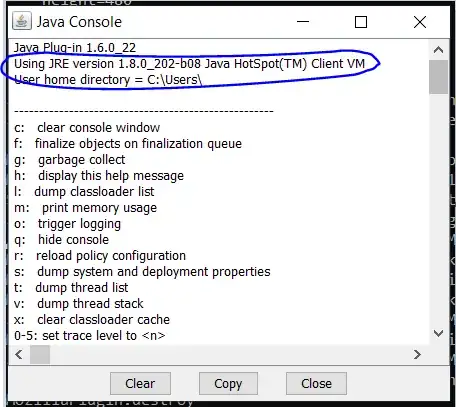 Java Console Information