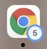 Chrome desktop icon with download balloon, with the number 5.