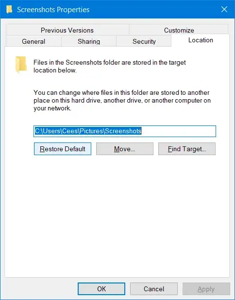 Screenshot Properties in Windows 10