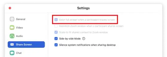 Enter full screen when a participant shares screen
