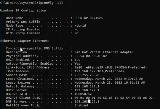 Screenshot of guest ipconfig