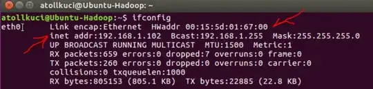 Guest configuration. Notice MAC and IP