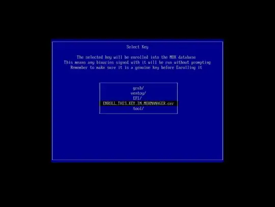 ENROOL_THIS_KEY_IN_MOKMANAGER.cer