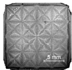 incision on the lid of the processor