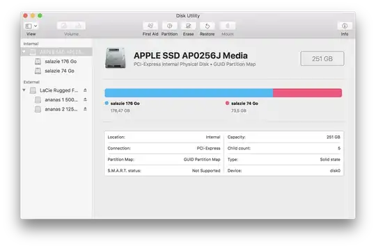 internal disk with 2 volumes
