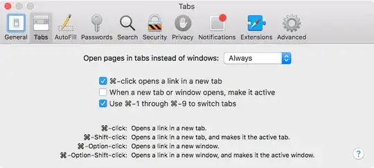 A border around the first Tab in Safari Preference