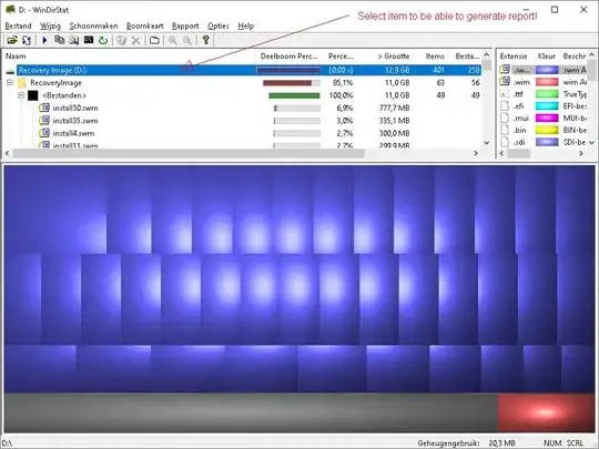 WinDirStat path selected