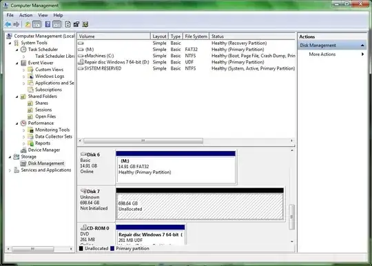 Disk in Windows Disk Management