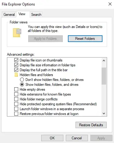 File Explorer options