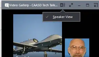 Example with only speaker view available