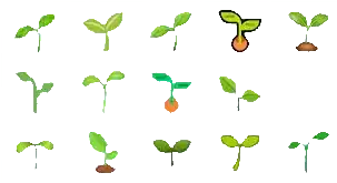 CARTOONS_FOR_YOUNG_PLANTS