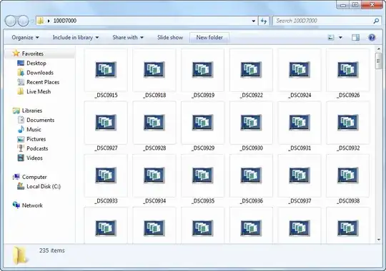 Explorer with NEF files