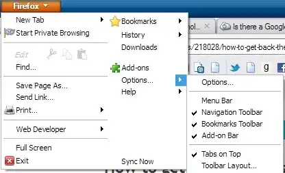 Screenshot of the Options sub-menu where you can find the Add-on Bar option Screenshot of the Options sub-menu where you can find the Add-on Bar option