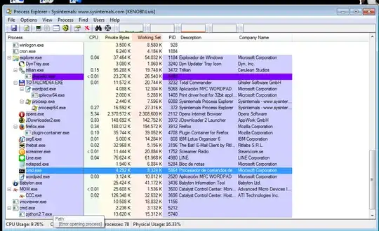 Process Explorer not detecting full command line of Python process