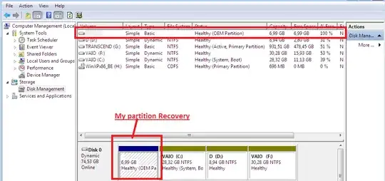 Screenshot of disk manager 