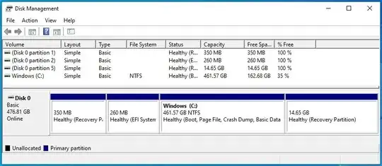 Disk Management Window on my Laptop