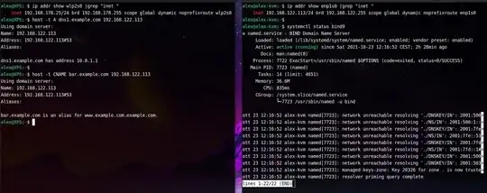 bind9 test from host to guest virtual machine