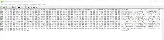 Hex editor output