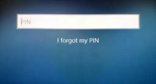 I forgot my PIN
