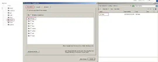 Screenshot of my env