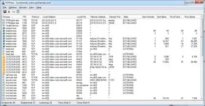Screenshot of TCPView