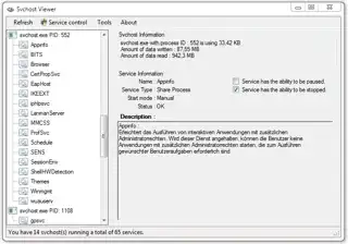 svchost viewer screenshot