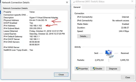 Host configuration. Notice MAC and IP