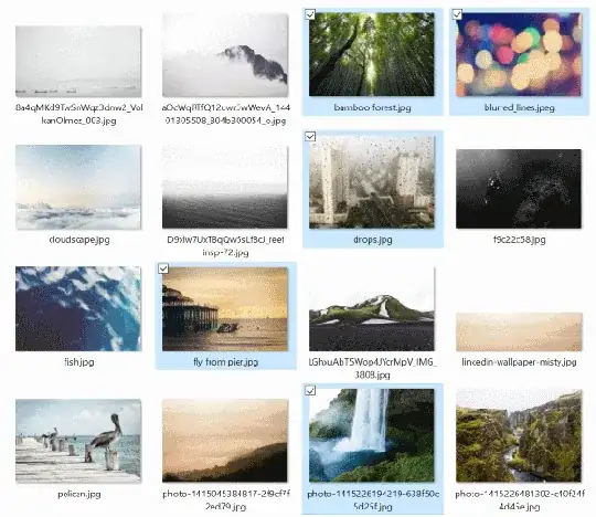 Detail of windows explorer window showing selected photos