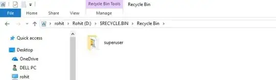 $RECYCLE.BIN folder of Seagate external hard disk has the deleted pic