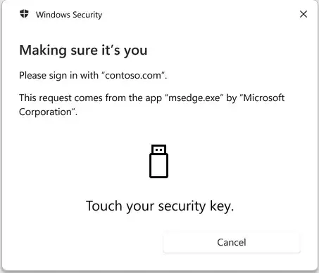 Expected experience for a FIDO2 2FA key