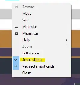 RDP Menu -> Smart Sizing On