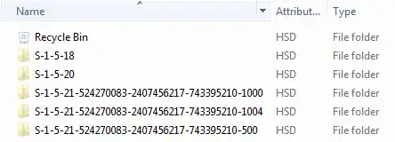 \$Recycle.Bin