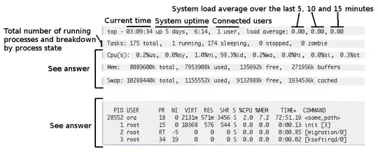 annotated screenshot of running top instance