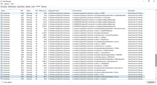 taskmanager screenshot of svchost processes