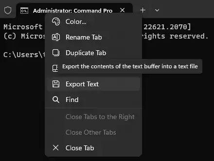 Command Prompt Export Text