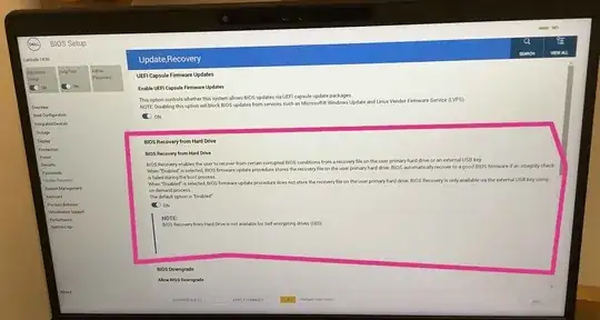 Dell Bios Update/Recovery settings page