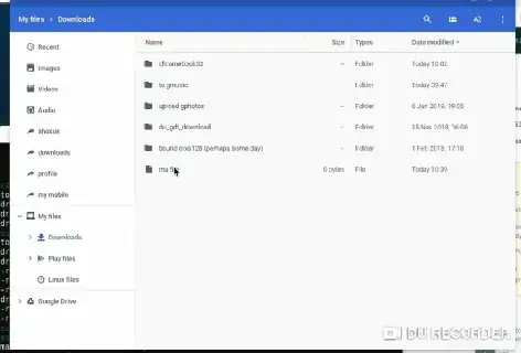 download files to linux terminal in chromebook