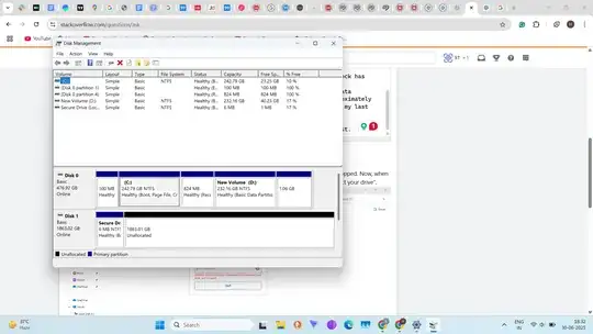 my HDD as it appears in Disk Management