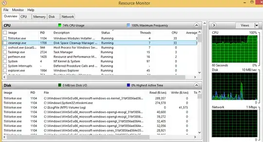 Windows Cleanup 100% CPU usage