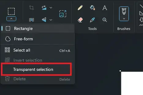 Transparent selection option