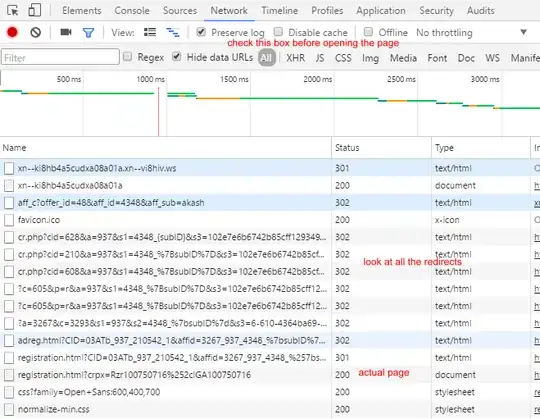 Chrome developer tools network panel after opening the URL