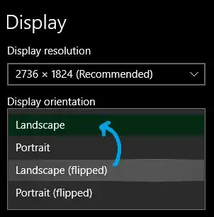 Display Panel Screenshot