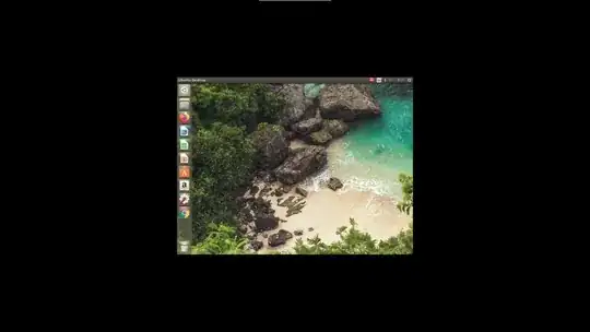 Surrounding black space is the empty space of my host's monitor