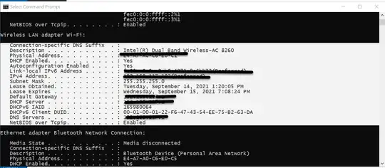 Copy the marked section
