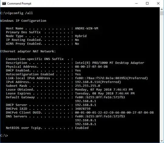 VirtualBox Bridge Adapter DHCP