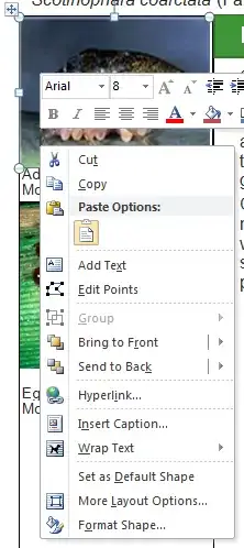 Right-click menu on image