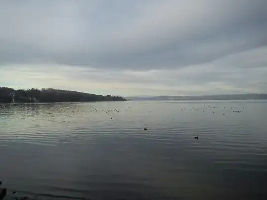 The img with meta data