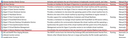 The running Hyper-v related services