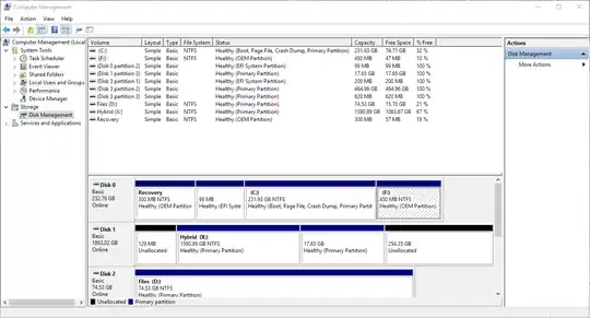 Disk management showing the new partition