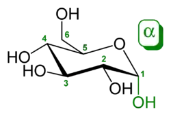 α-D- glucopyranose